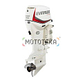Лодочные моторы Evinrude (Эвинруд) | Мототека