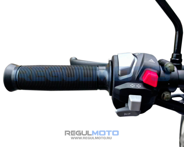 Мопед Regulmoto (Регулмото) Alpha (RM - 5) серый - купить с доставкой, по выгодной цене в интернет-магазине Мототека